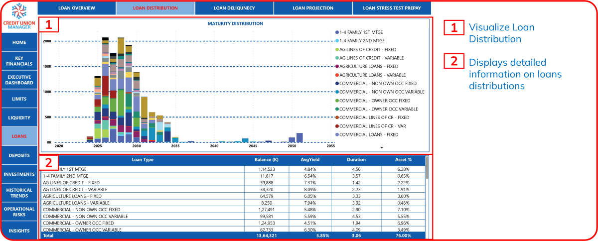 Loan Portfolio Dashboard